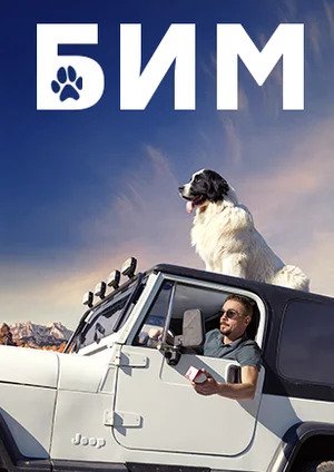 Бим 2022 (сериал, 1-2 сезоны, все серии)