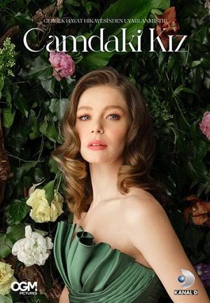 Девушка за стеклом (сериал, 1-2 сезоны, все серии)